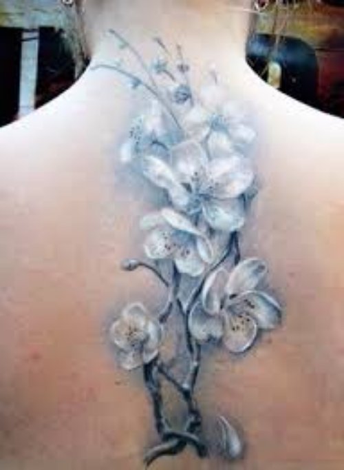 Grey Ink Cherry Blosoom Tattoos On Back